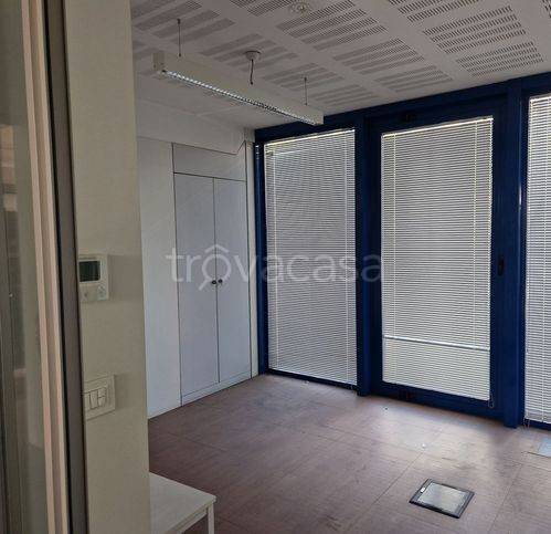 immagine annuncio 4 di 14