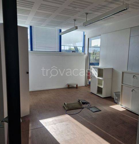 immagine annuncio 7 di 14