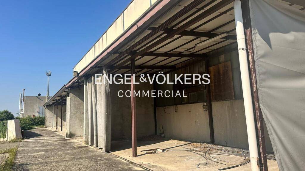 immagine annuncio 8 di 13