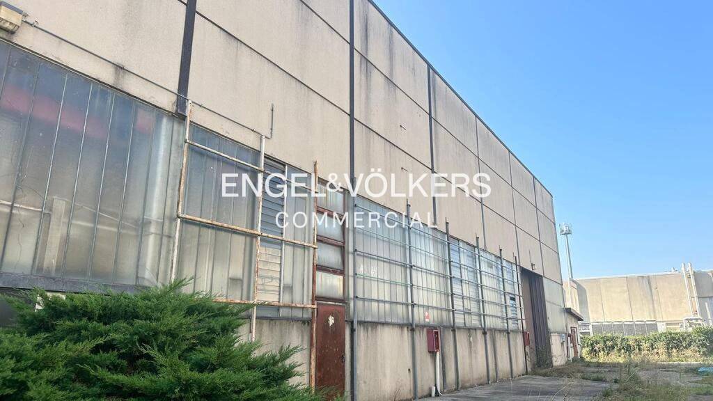 immagine annuncio 9 di 13