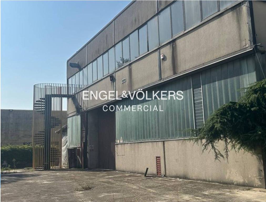 immagine annuncio 10 di 13