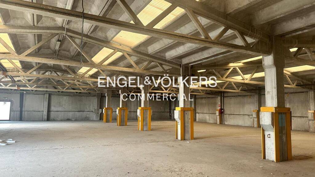 immagine annuncio 4 di 13