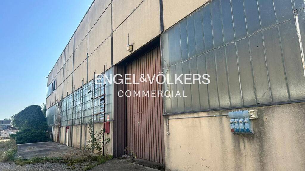 immagine annuncio 11 di 13