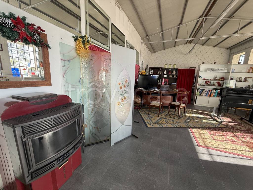 immagine annuncio 9 di 15