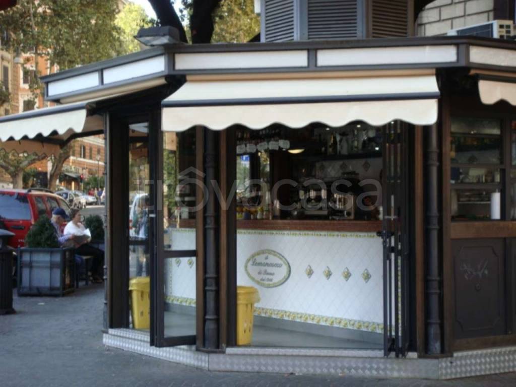 immagine annuncio 2 di 6
