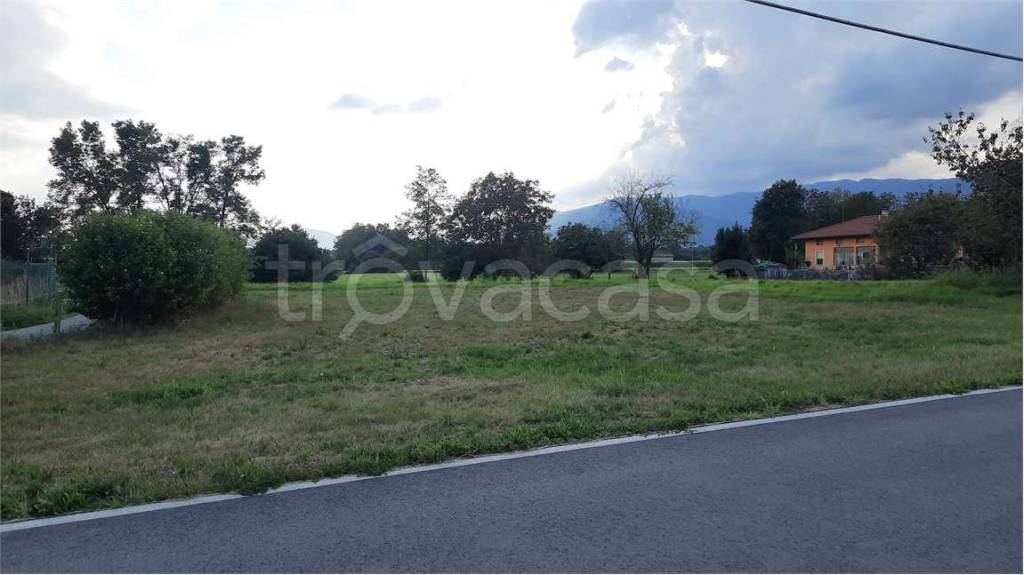 immagine annuncio 5 di 7