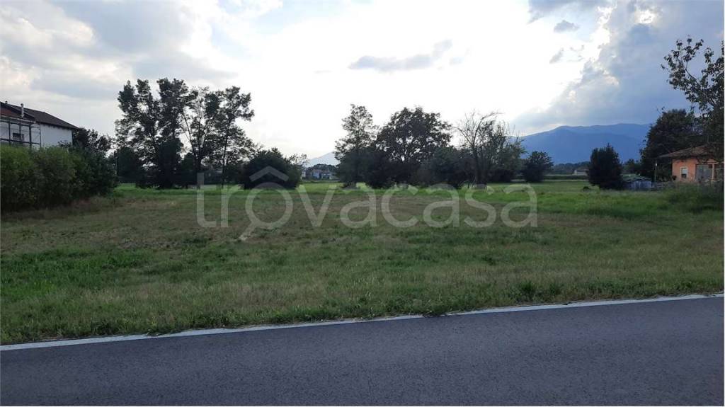 immagine annuncio 6 di 7