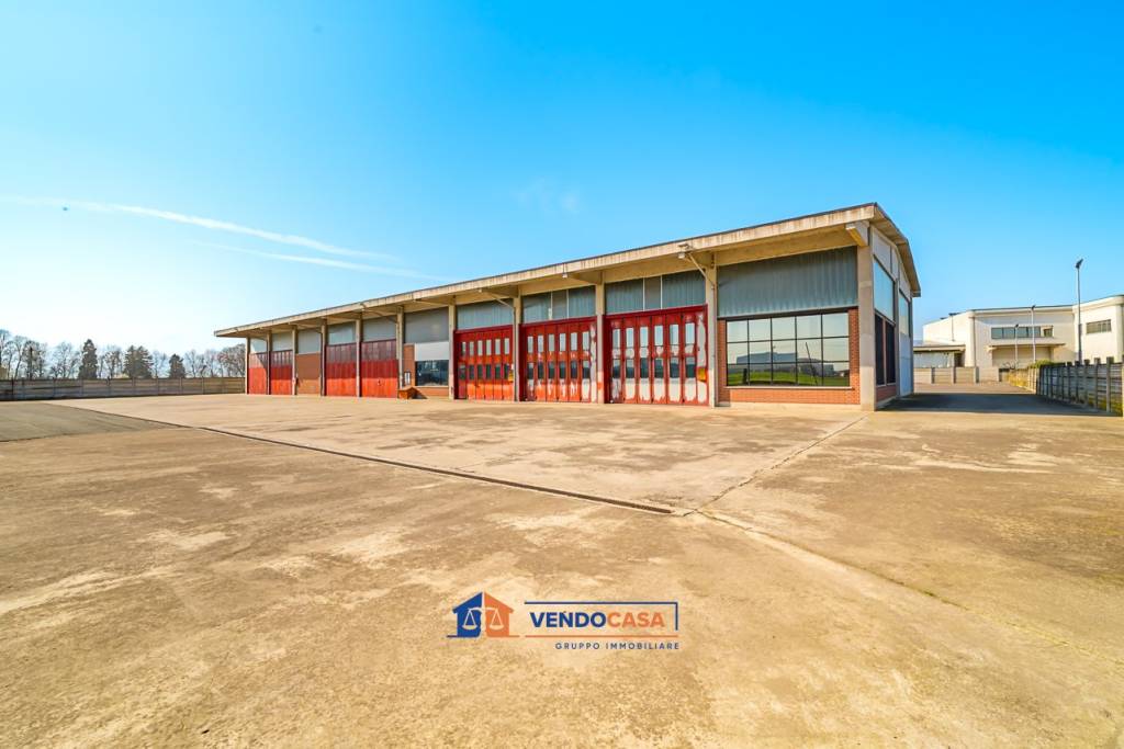 immagine annuncio 1 di 15