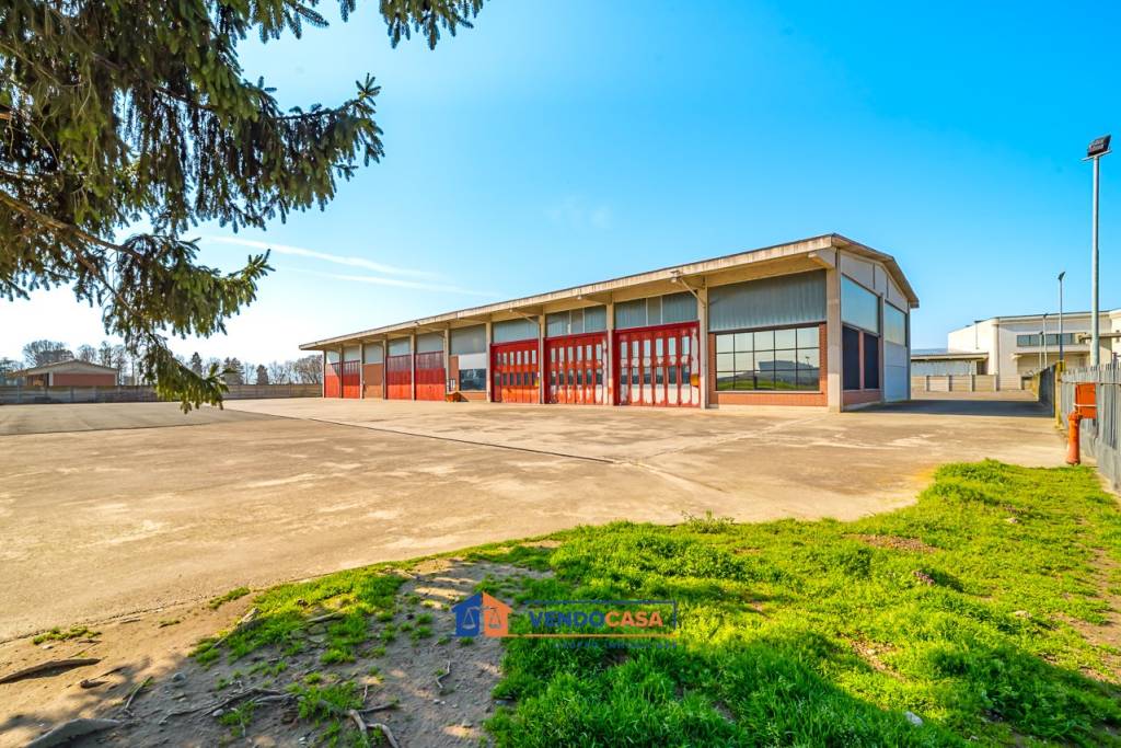 immagine annuncio 2 di 15