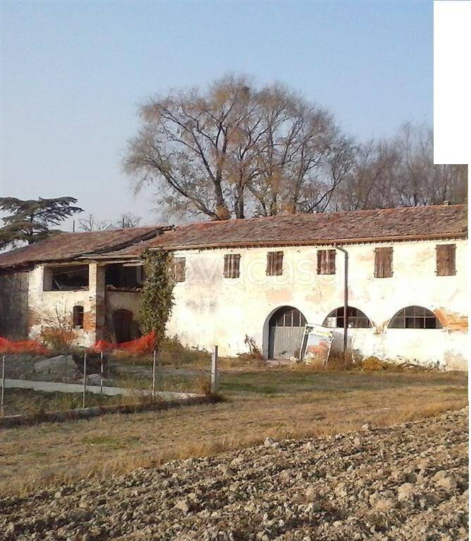 immagine annuncio 3 di 6