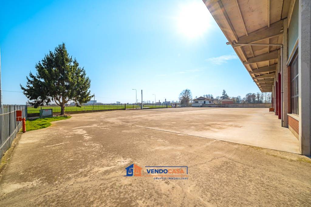 immagine annuncio 6 di 15