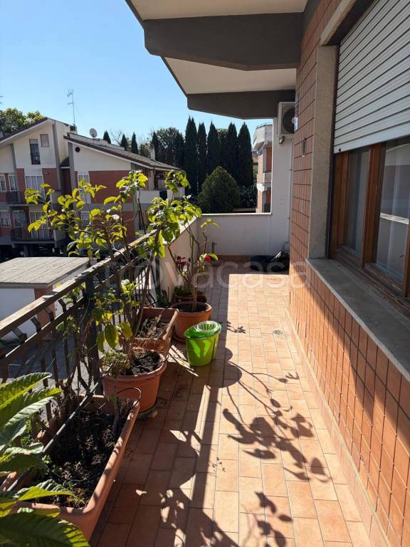 immagine annuncio 9 di 15