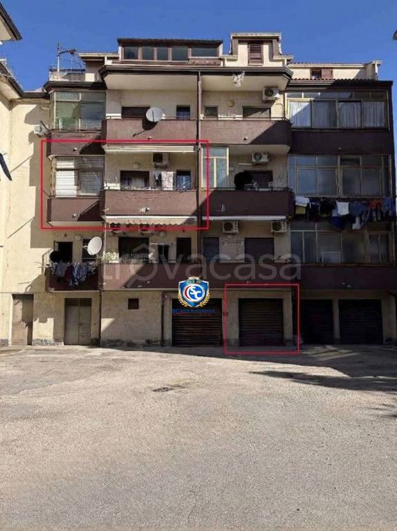 immagine annuncio 3 di 14