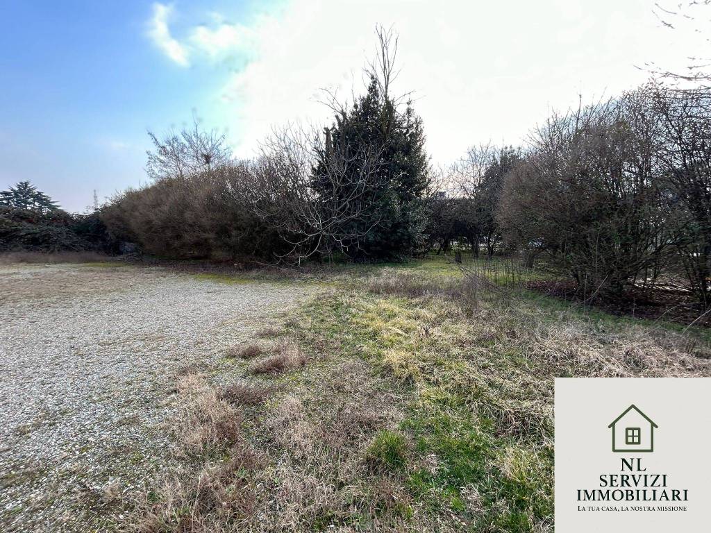 immagine annuncio 2 di 11