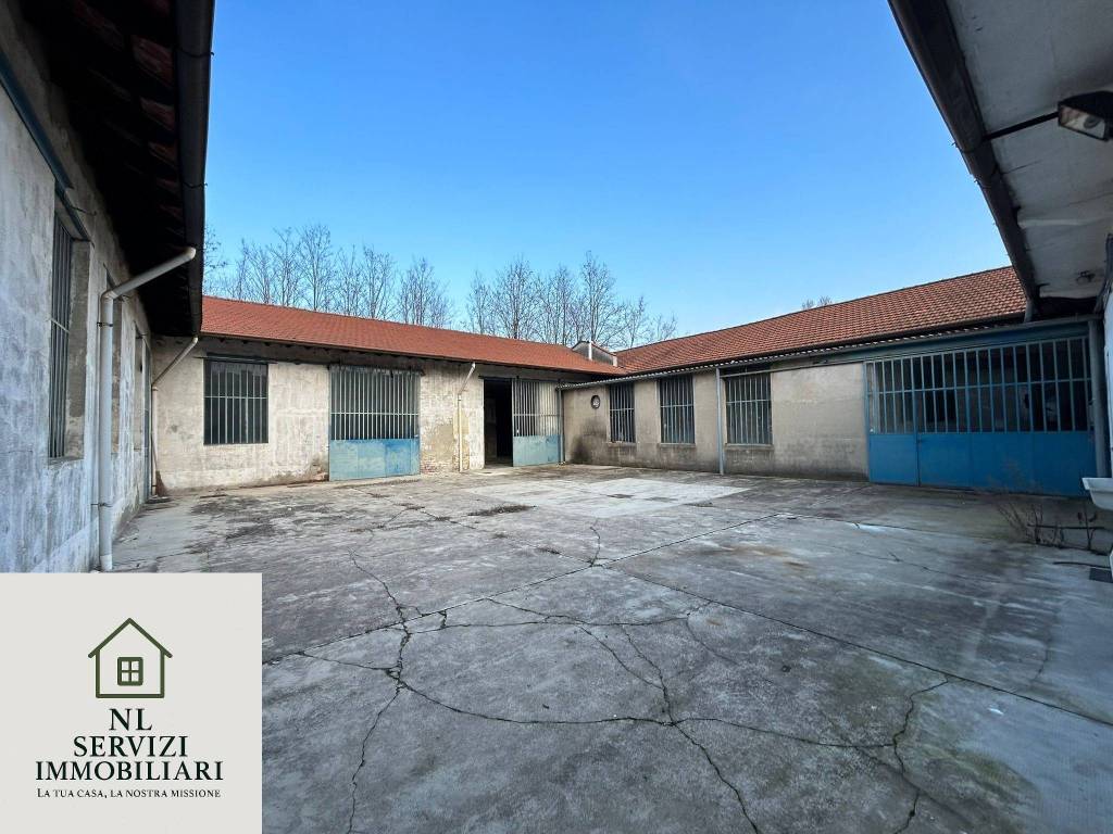 immagine annuncio 4 di 11