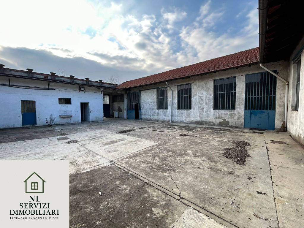 immagine annuncio 7 di 11