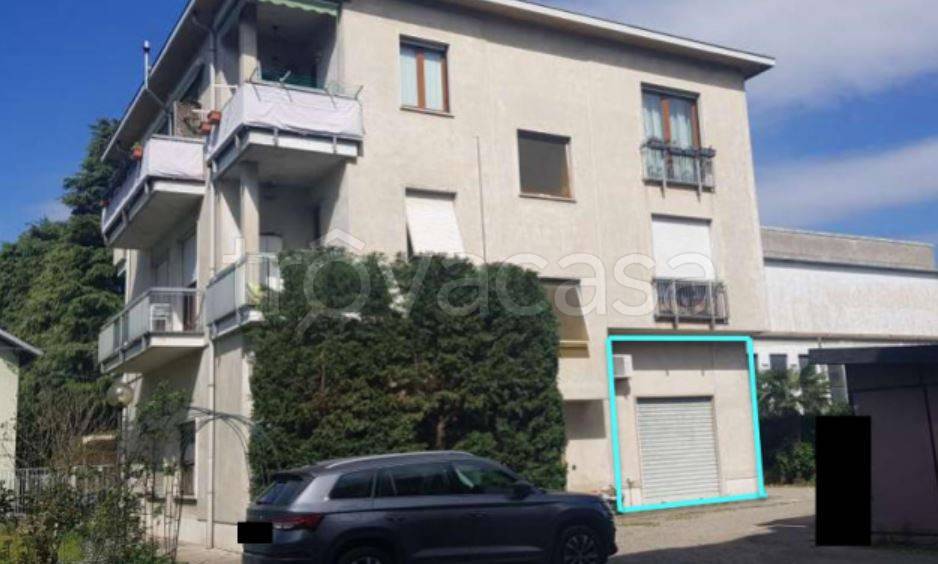 immagine annuncio 2 di 15