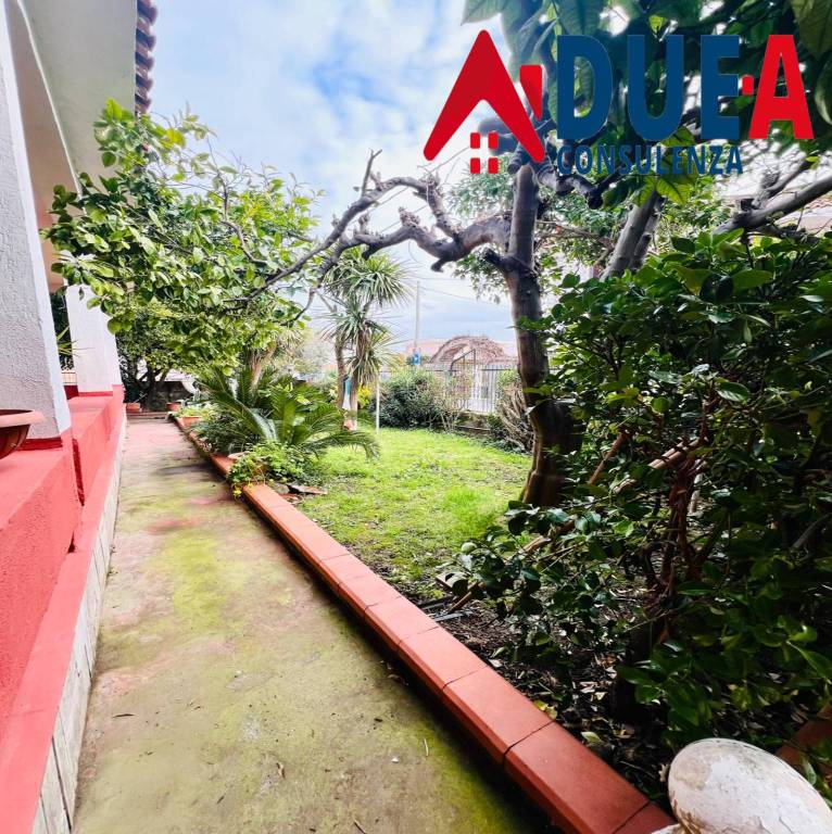 immagine annuncio 3 di 14