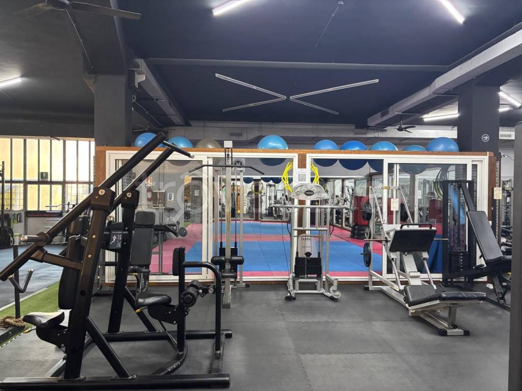 immagine annuncio 3 di 13