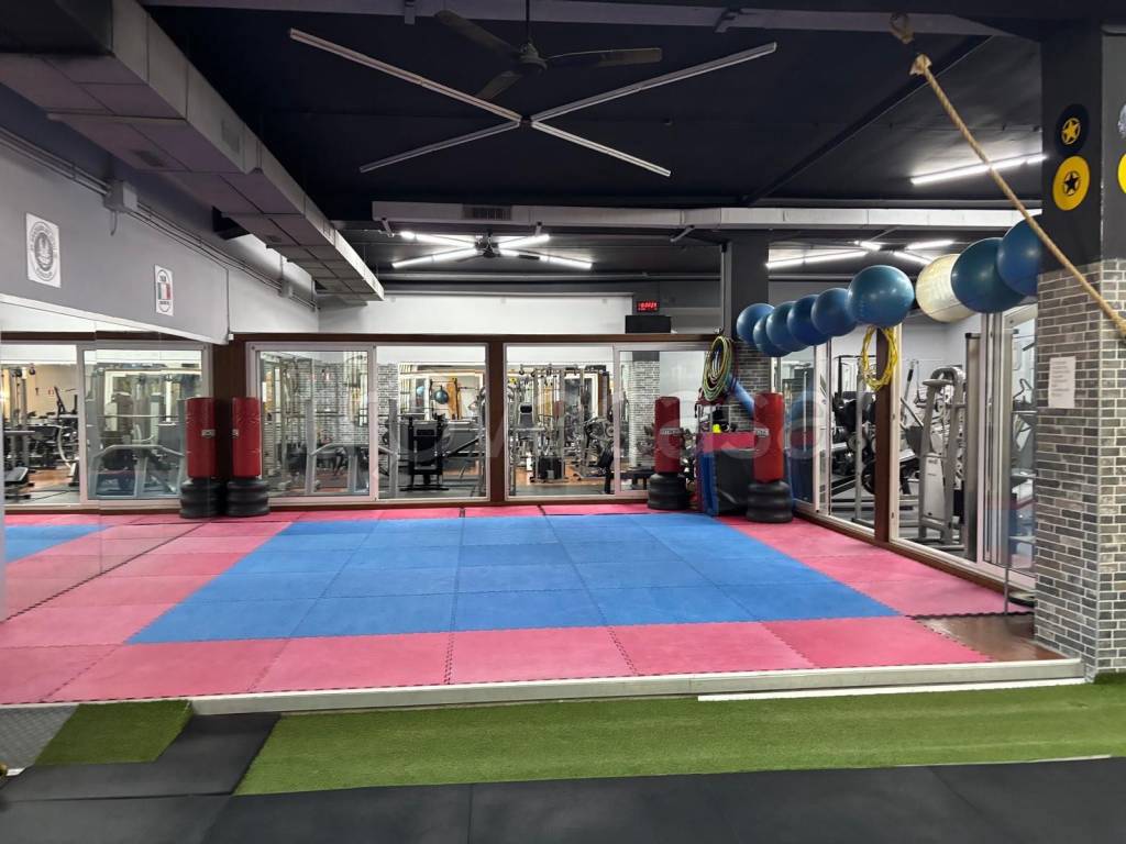 immagine annuncio 4 di 13