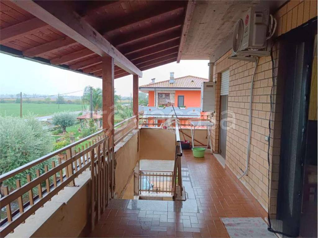 immagine annuncio 2 di 12