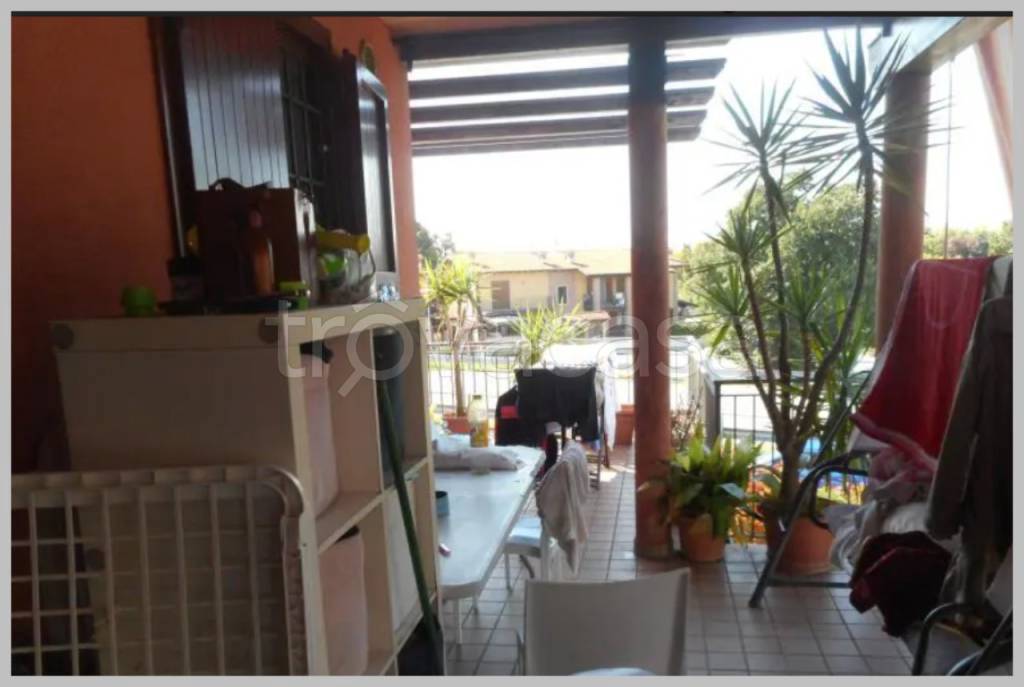 immagine annuncio 11 di 15