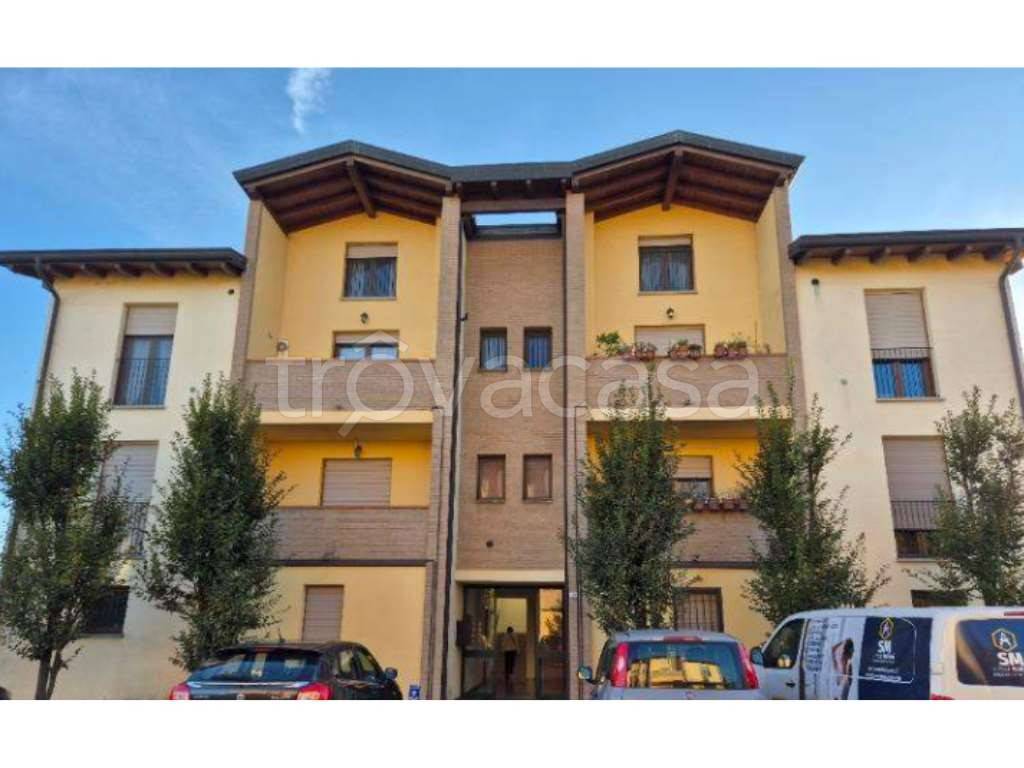 immagine annuncio 5 di 14