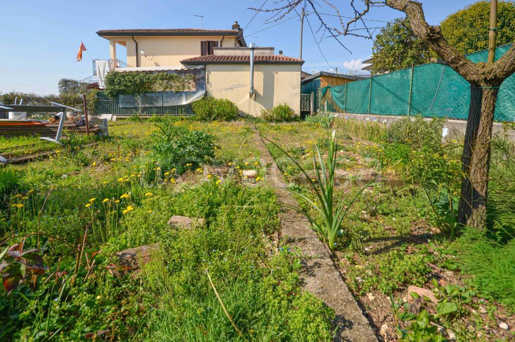 immagine annuncio 12 di 14