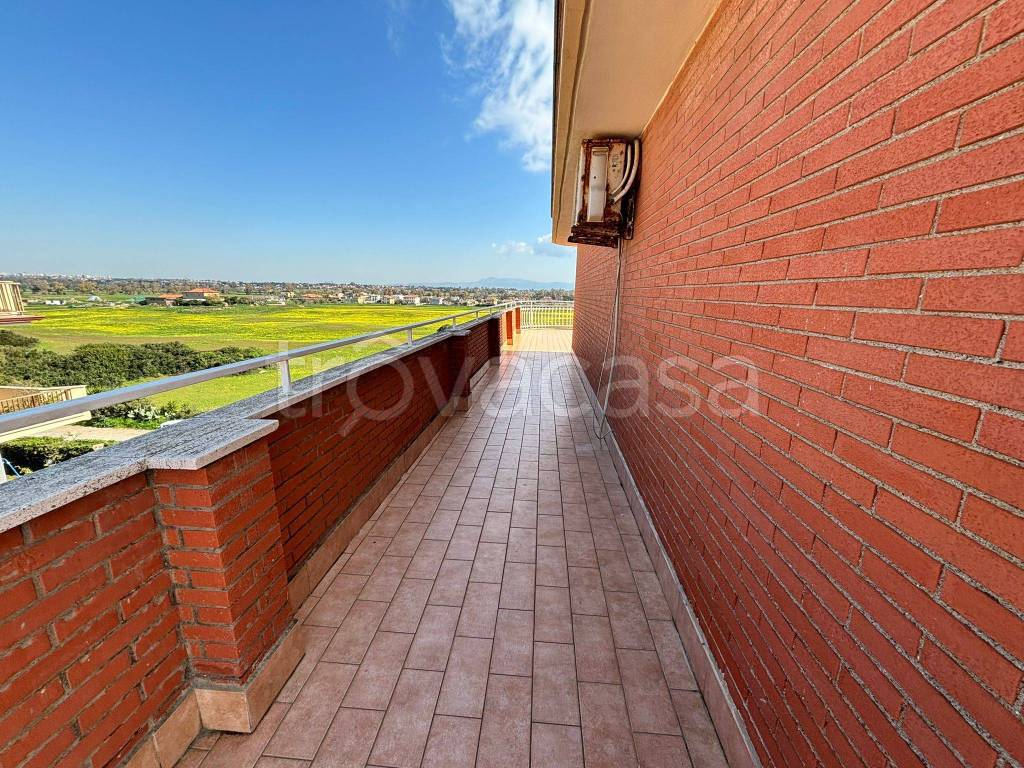 immagine annuncio 8 di 12