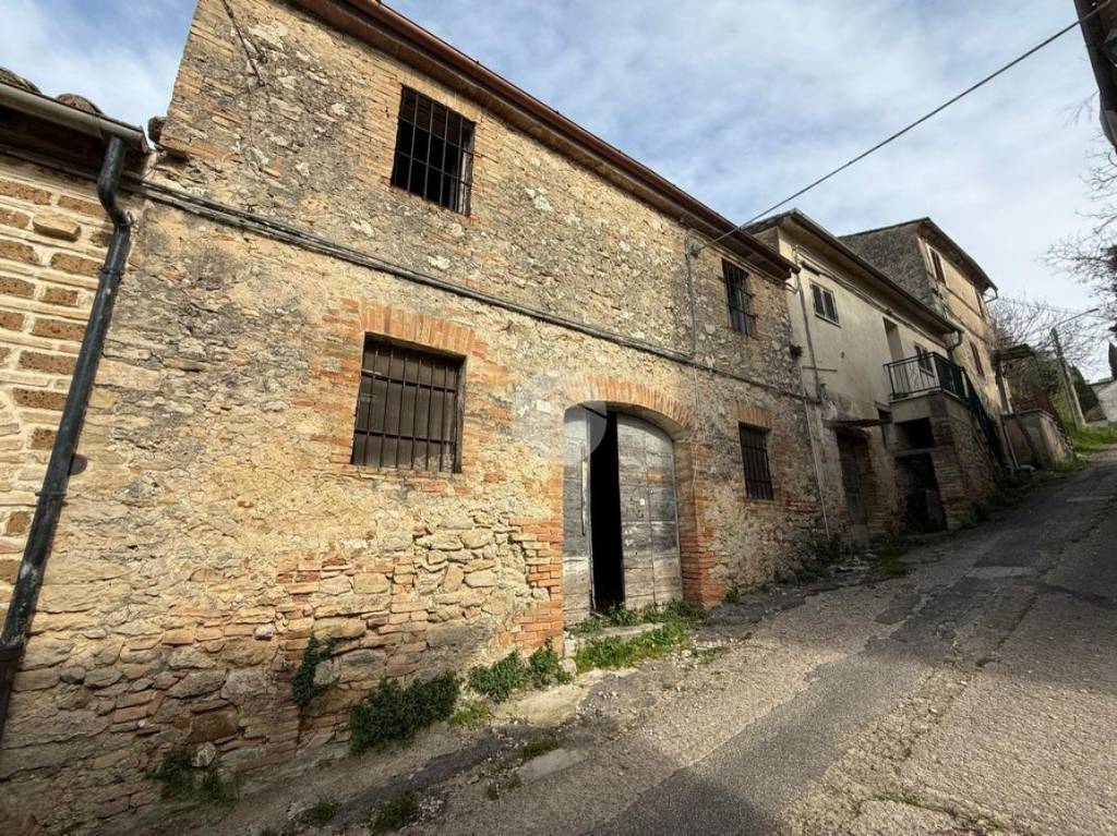 immagine annuncio 2 di 13