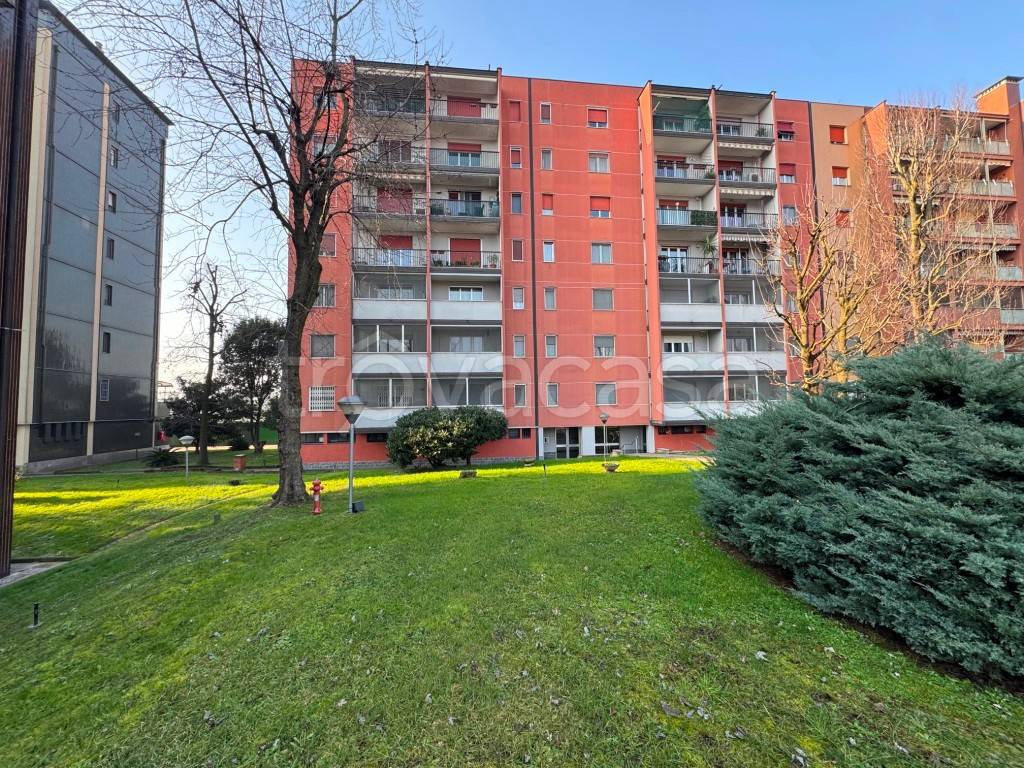 immagine annuncio 9 di 15