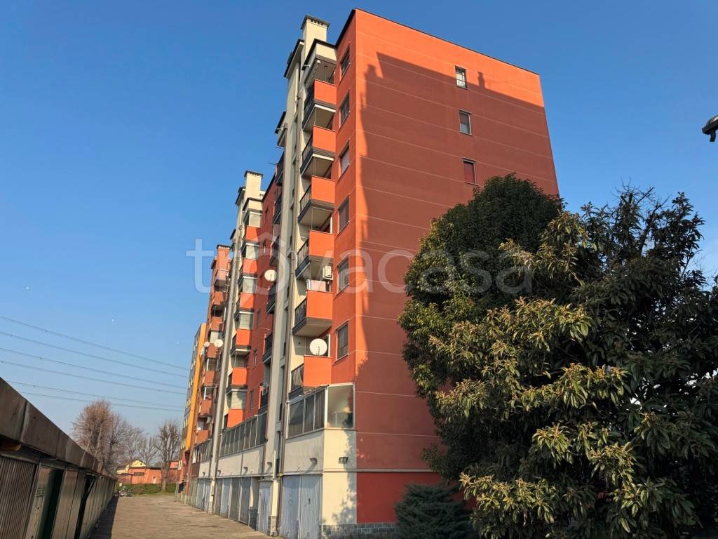 immagine annuncio 10 di 15