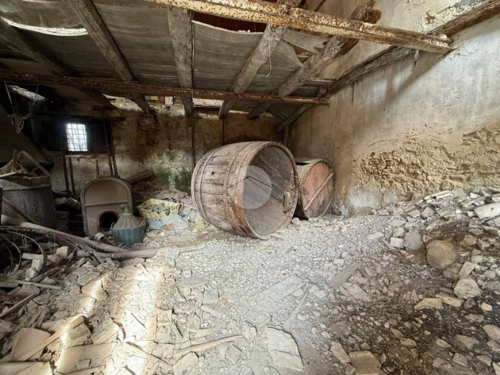 immagine annuncio 7 di 13