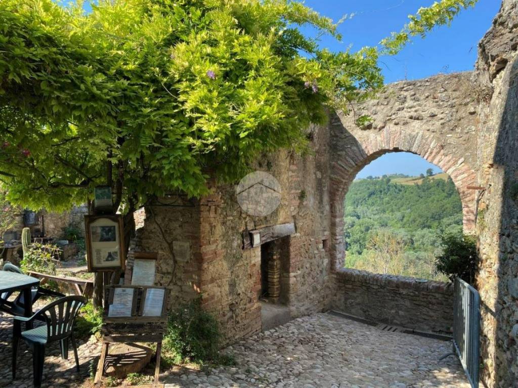 immagine annuncio 9 di 13