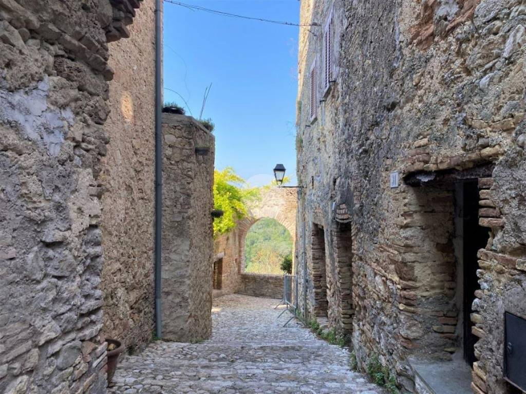 immagine annuncio 11 di 13