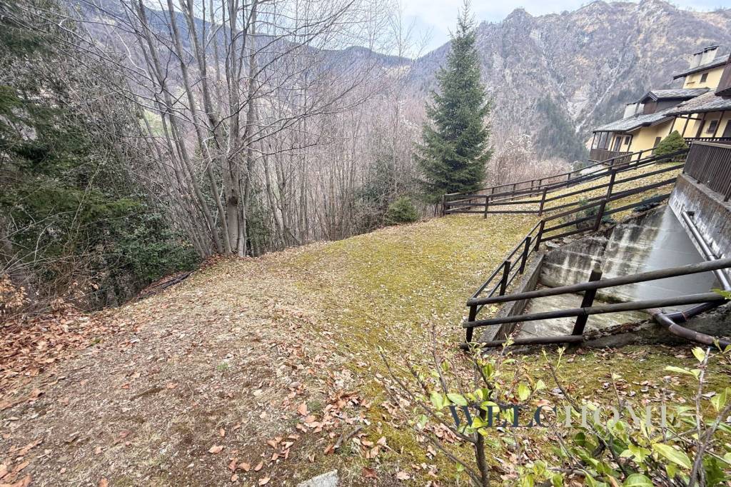 immagine annuncio 5 di 14