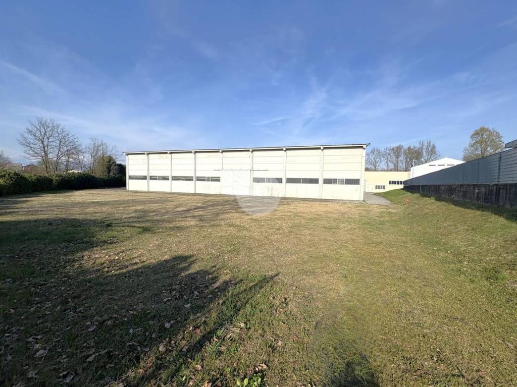 immagine annuncio 3 di 15