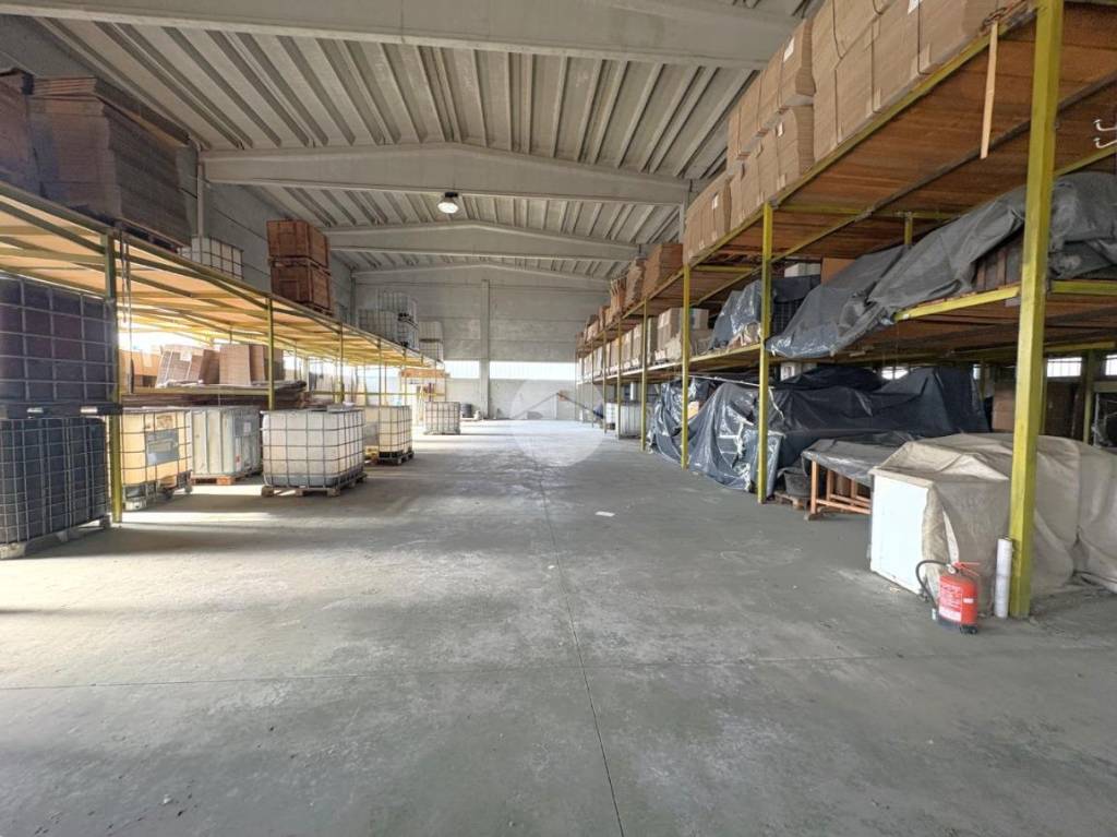 immagine annuncio 9 di 15