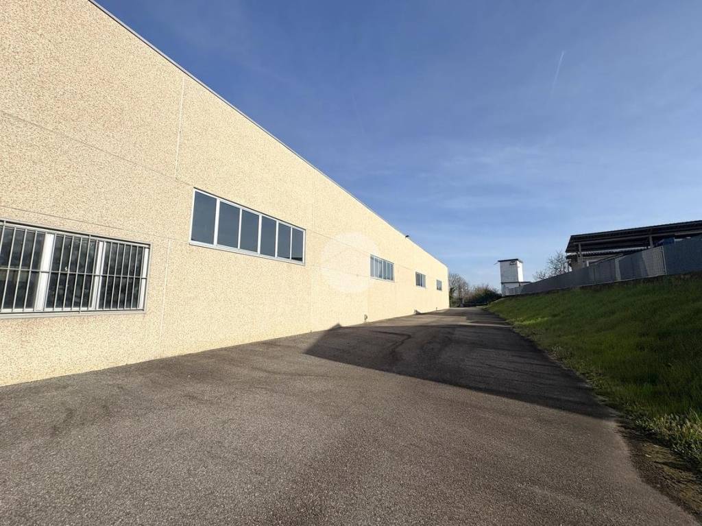 immagine annuncio 12 di 15