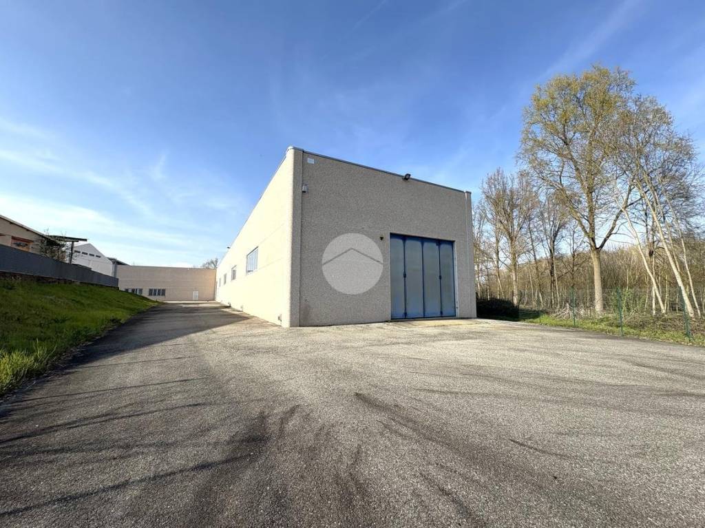 immagine annuncio 13 di 15