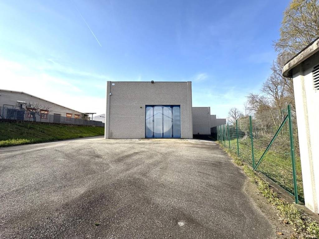 immagine annuncio 14 di 15