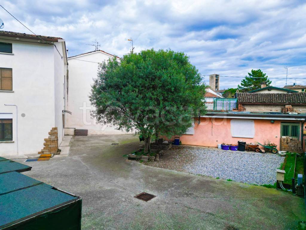 immagine annuncio 3 di 14