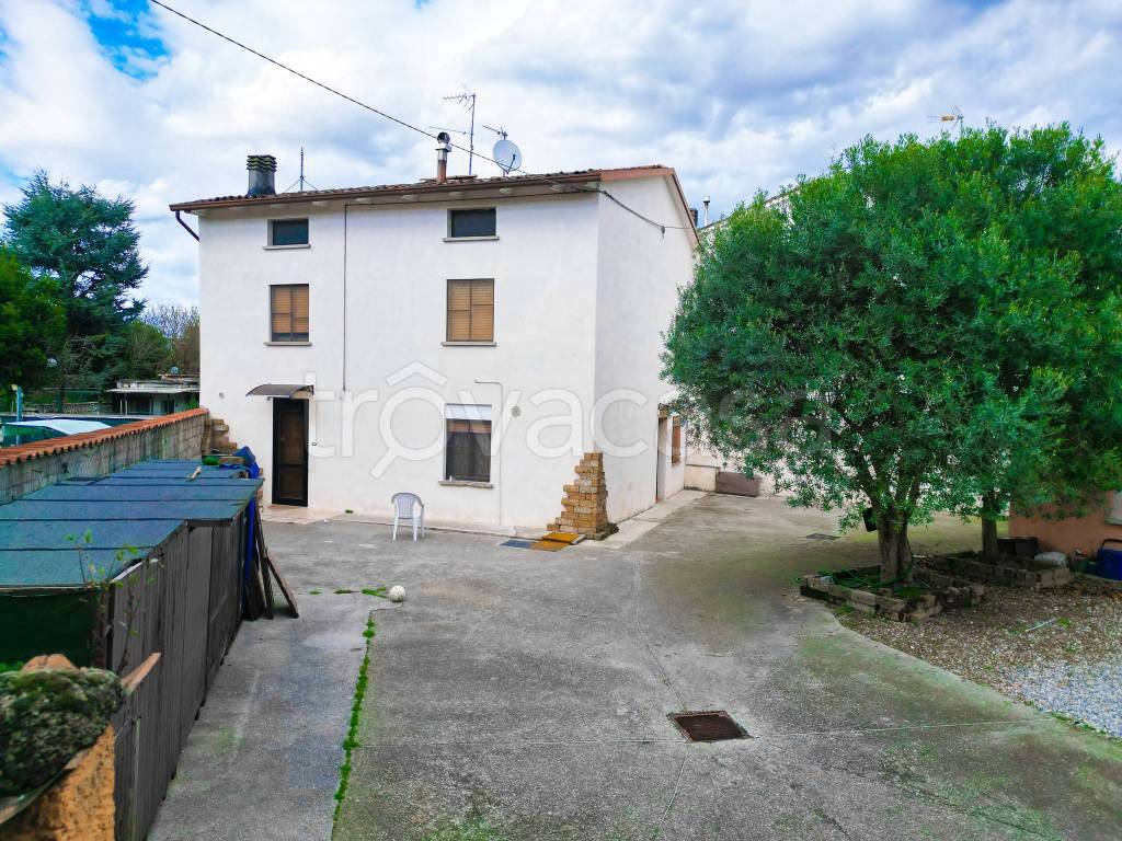 immagine annuncio 4 di 14