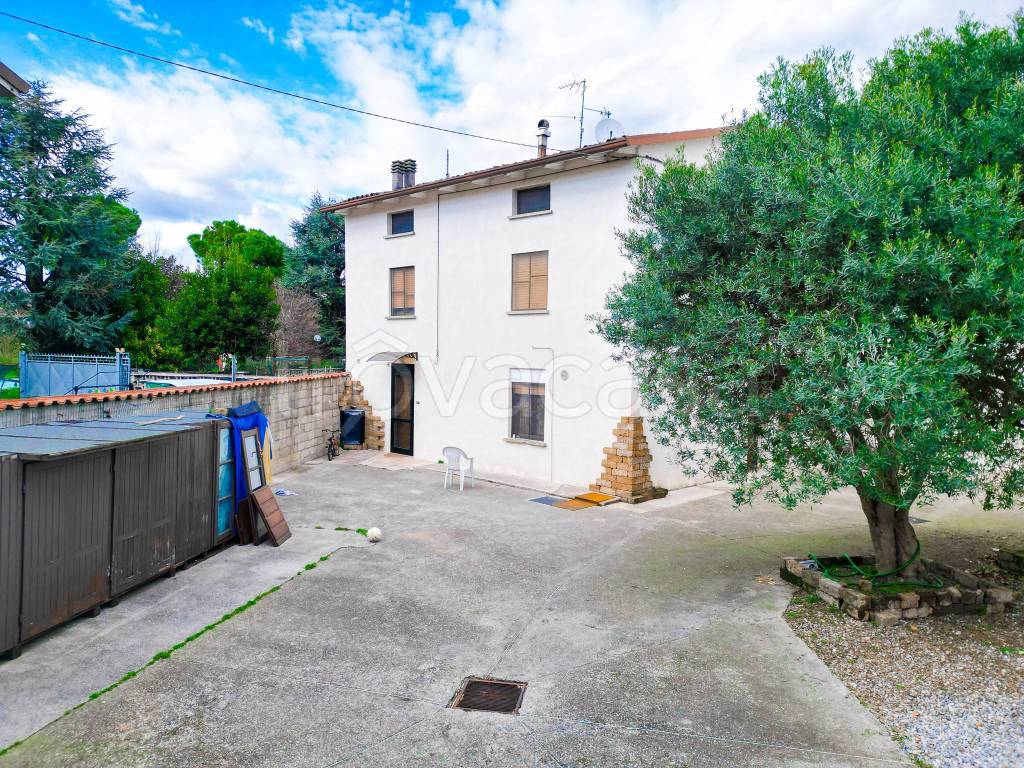 immagine annuncio 5 di 14