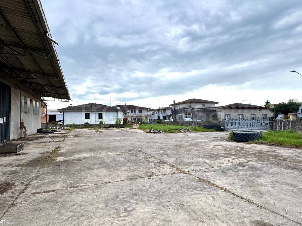 immagine annuncio 1 di 8