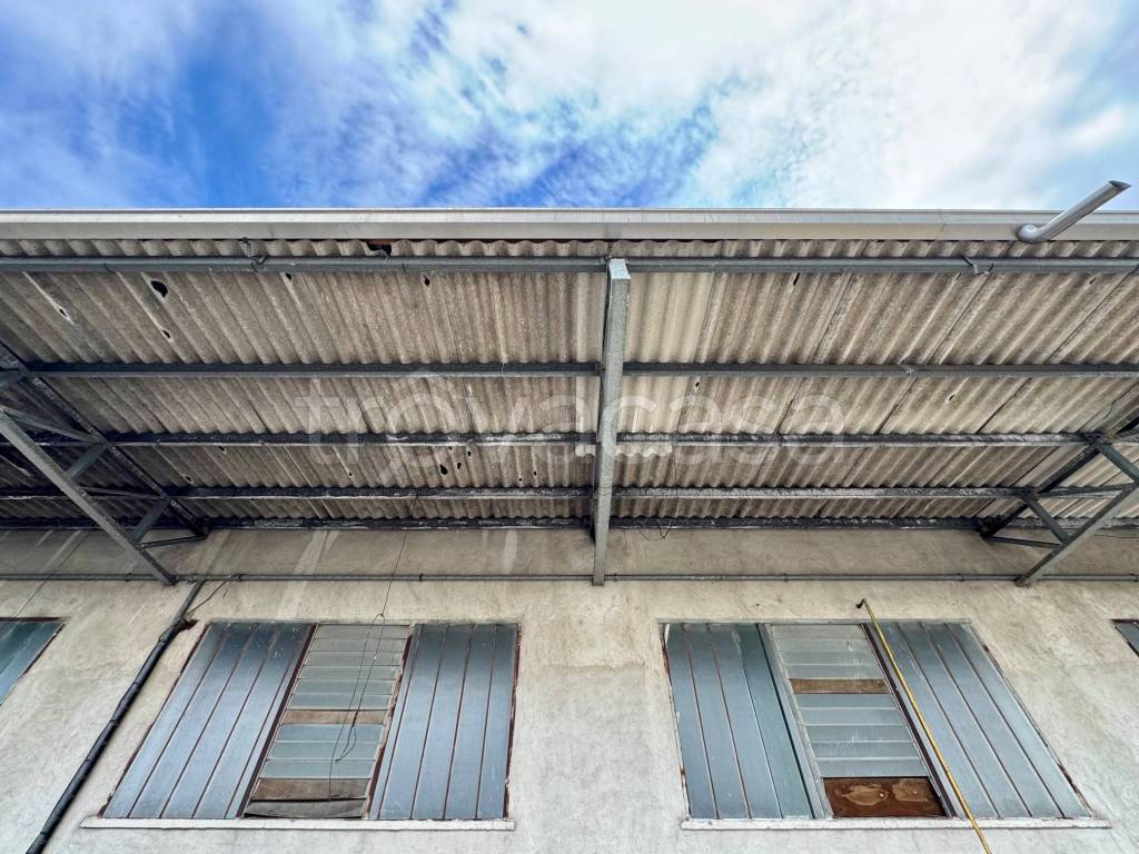 immagine annuncio 5 di 8