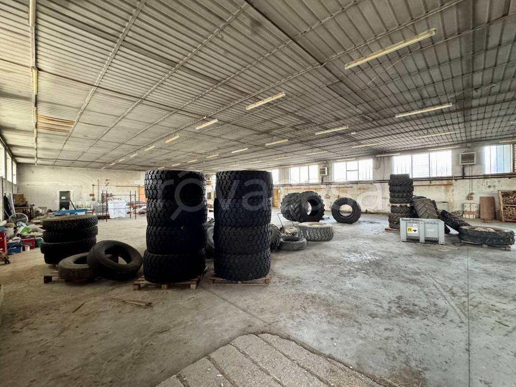 immagine annuncio 2 di 8