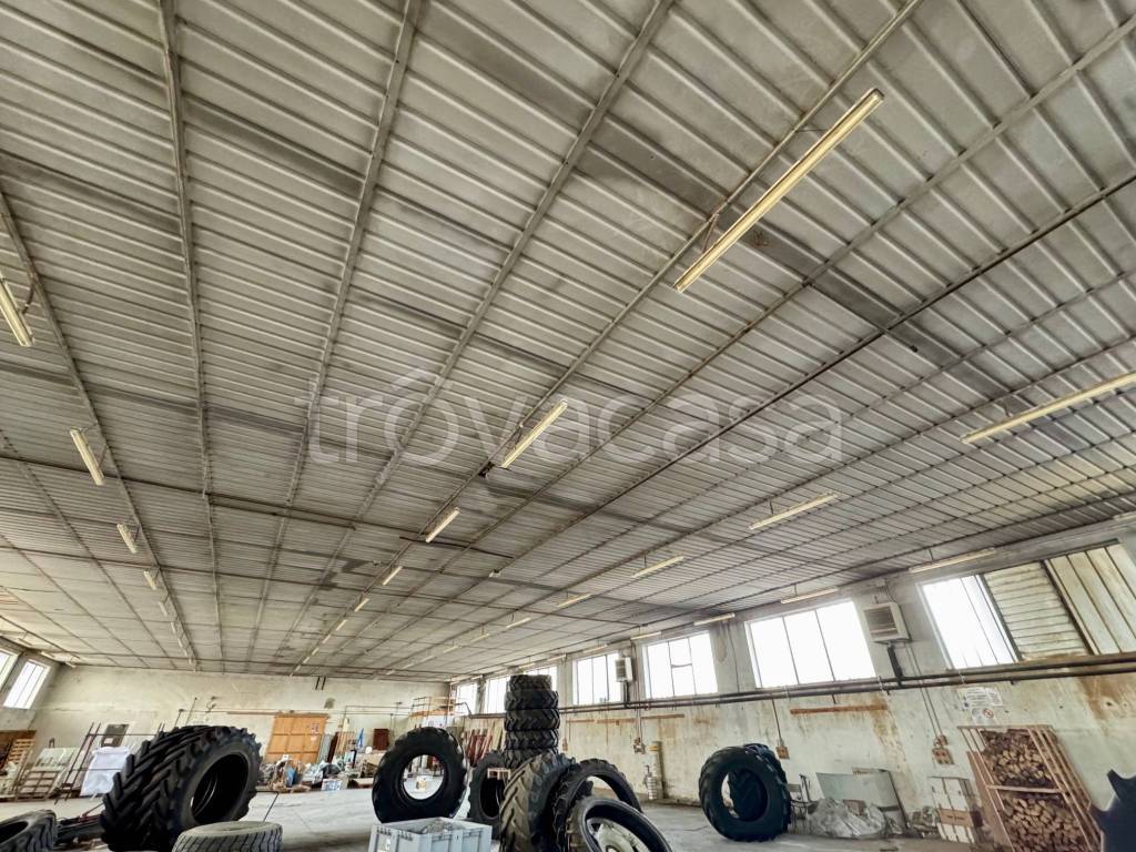 immagine annuncio 3 di 8