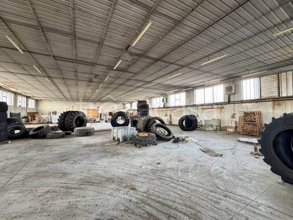 immagine annuncio 4 di 8