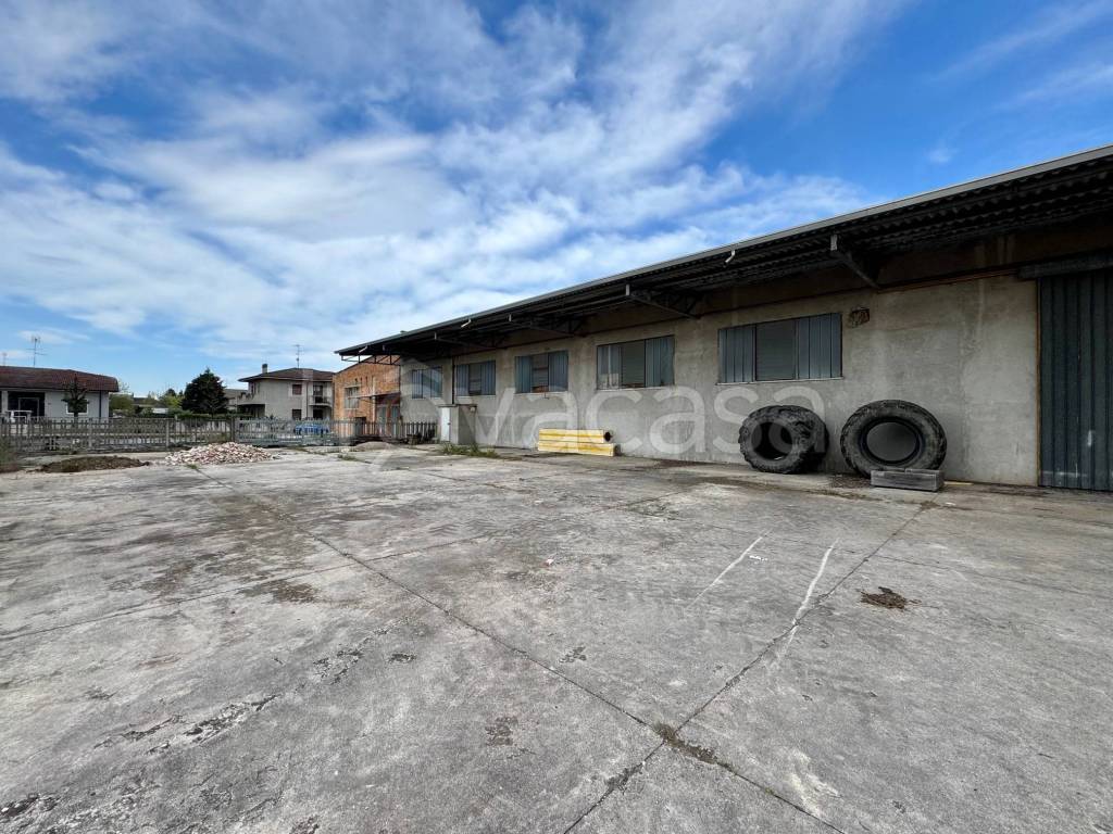 immagine annuncio 7 di 8